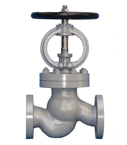 Válvula de Globo - Vector Valves